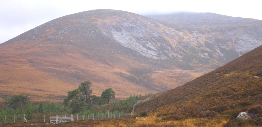 Carn a' Mhaim in the Cairngorm Mountains of Scotland