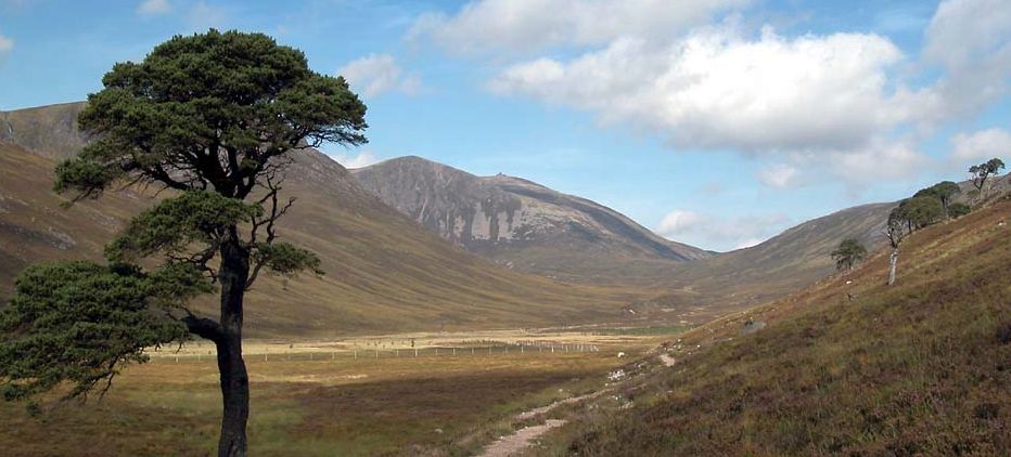 Glen Derry in the Cairngorm Mountains of Scotland