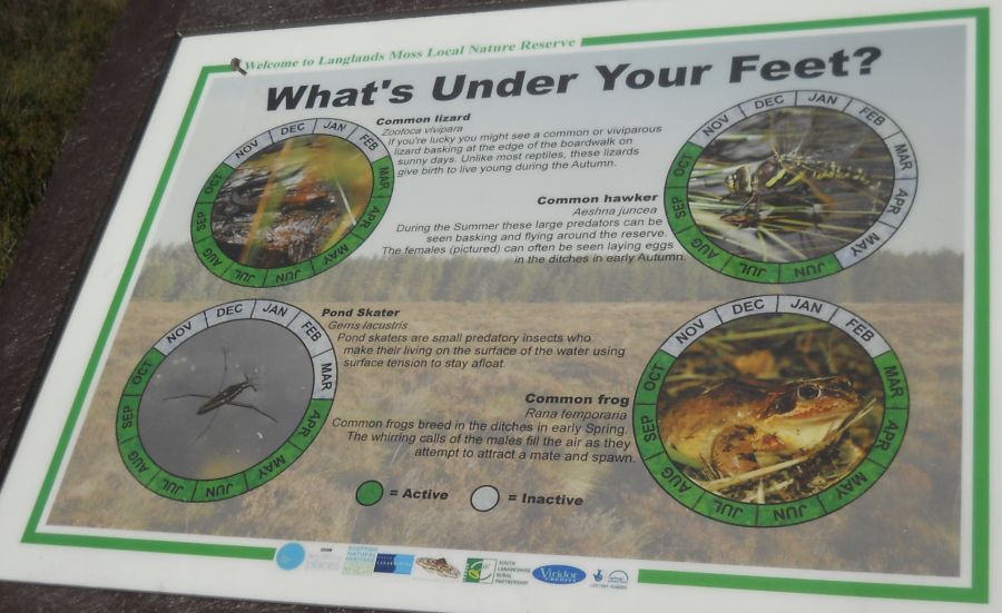 Information Board in Langlands Moss Nature Reserve
