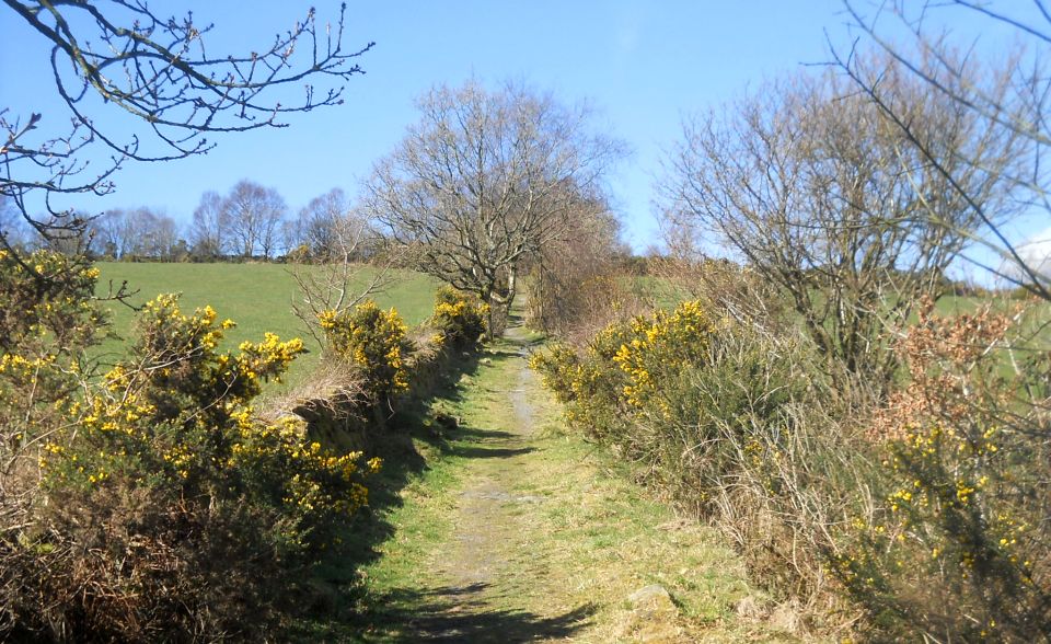 Footpath from Renton to Cardross