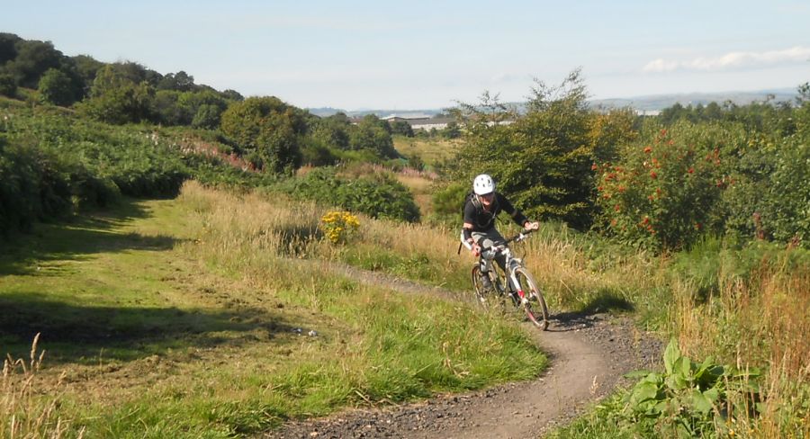 Mountain Bike trail in Cathkin Braes Country Park