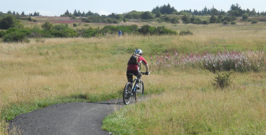 Mountain bike trail in Cathkin Braes Country Park