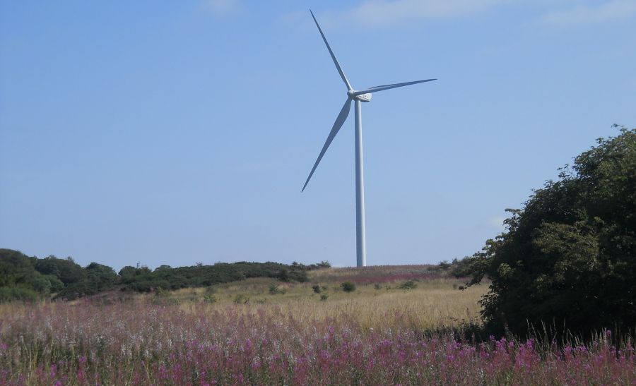 Wind Turbine in Cathkin Braes Country Park