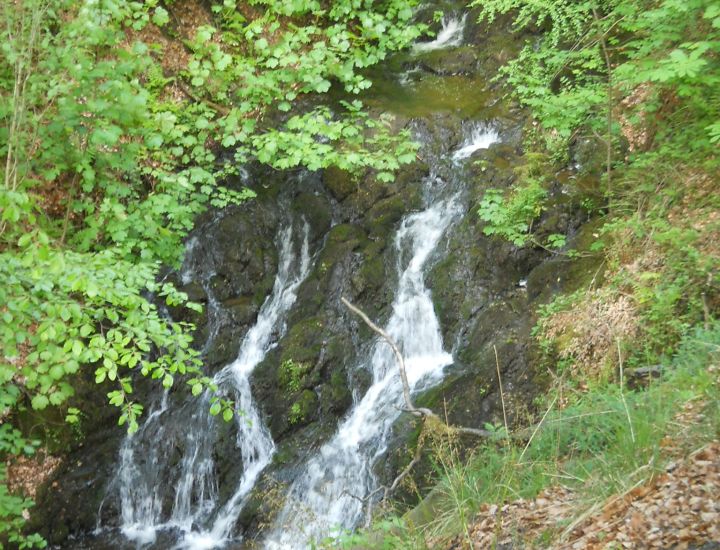 Waterfalls in the Glen in Colzium Lennox Estate