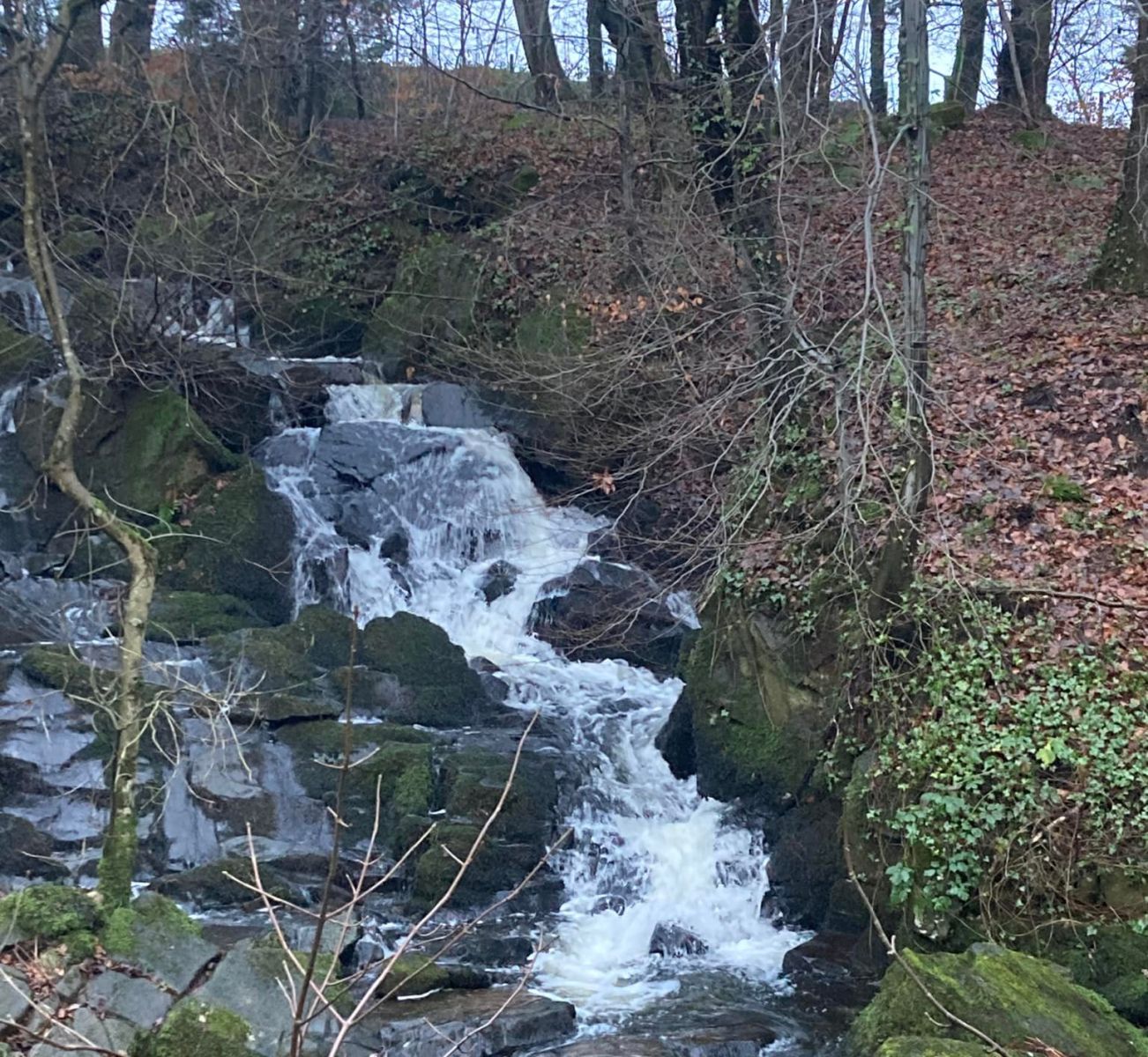 Waterfalls in the Glen