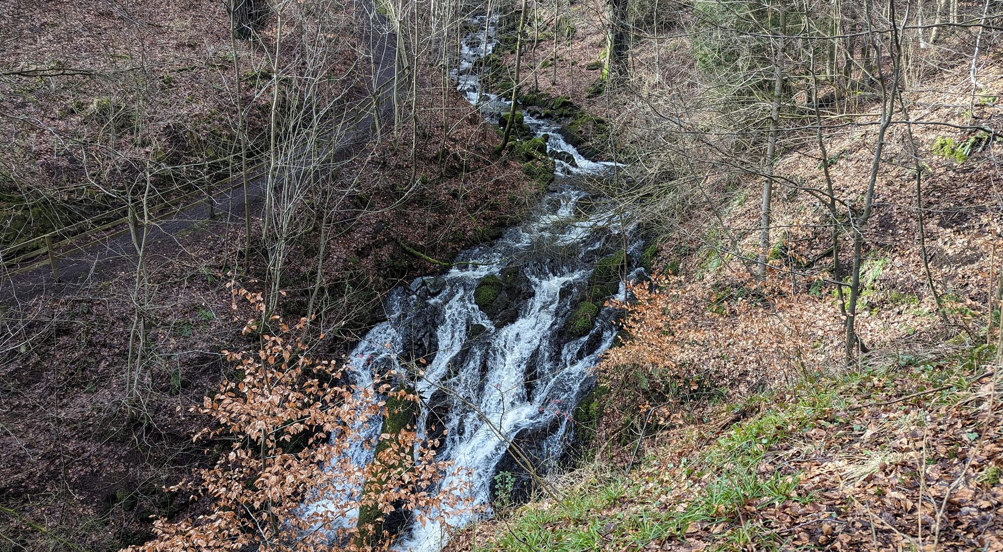 Waterfalls in the Glen