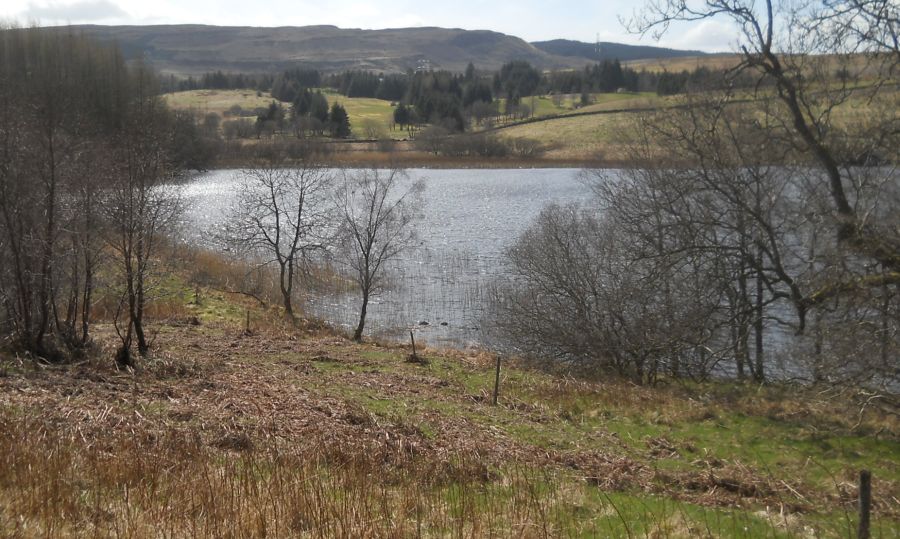 Kilpatrick Hills and Craigallian Loch from Craigallian Woods