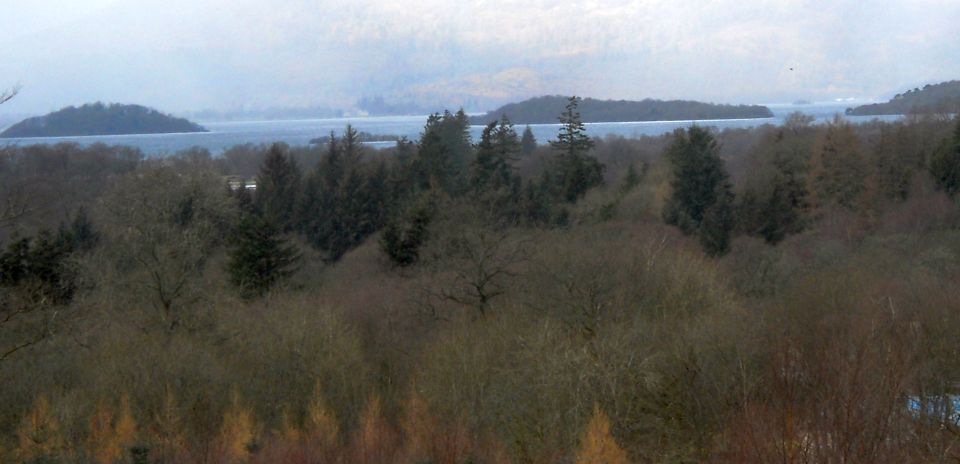 Loch Lomond from the path to Home Farm