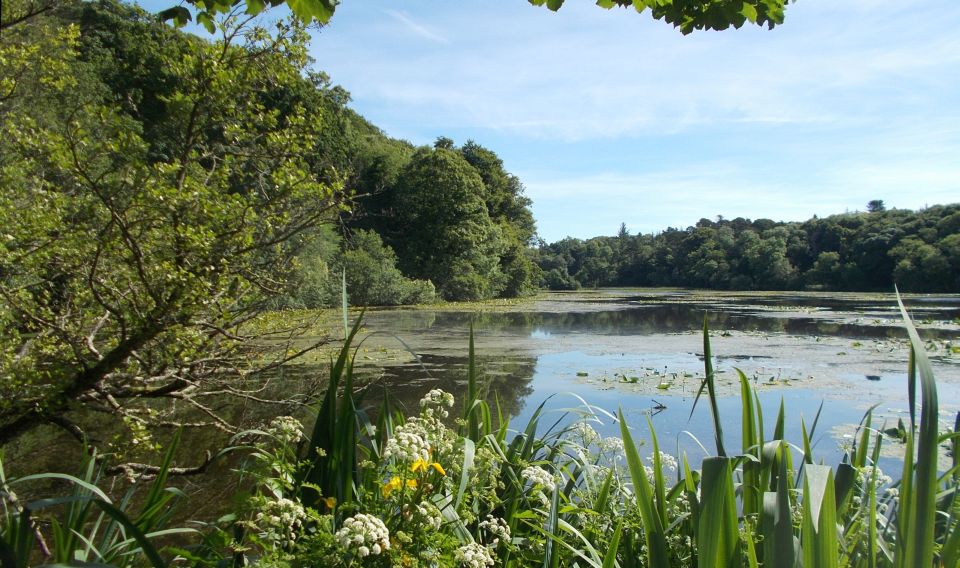 Swan Pond in Culzean Castle Country Park