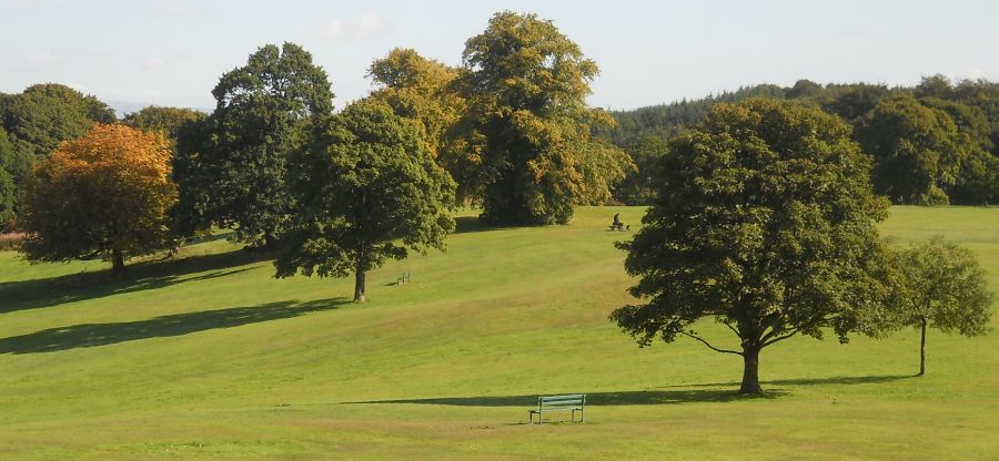Grassland and Trees in Cumbernauld House Park