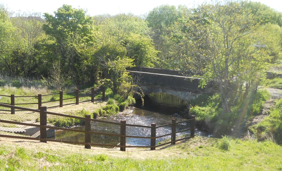 Bridge over stream in Dams to Darnley Country Park