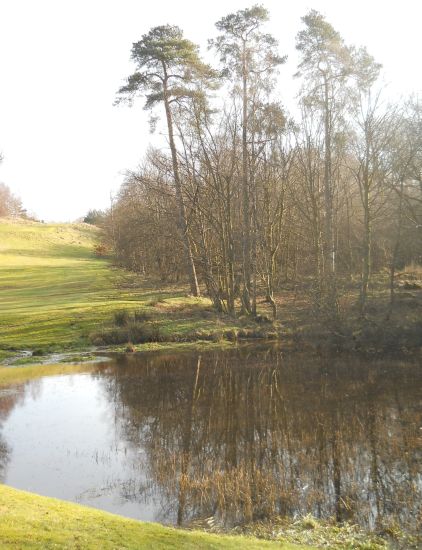 Pond on Dougalston Golf Course