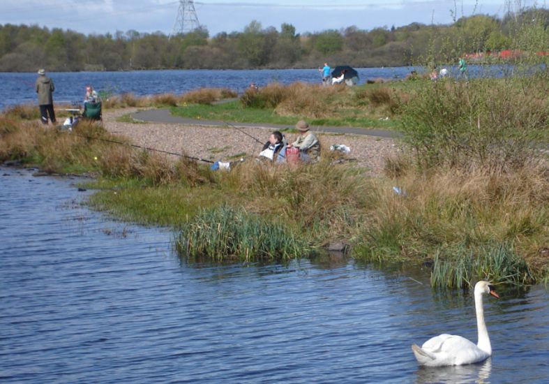 Swan and anglers at Lochend Loch at Drumpellier Country Park