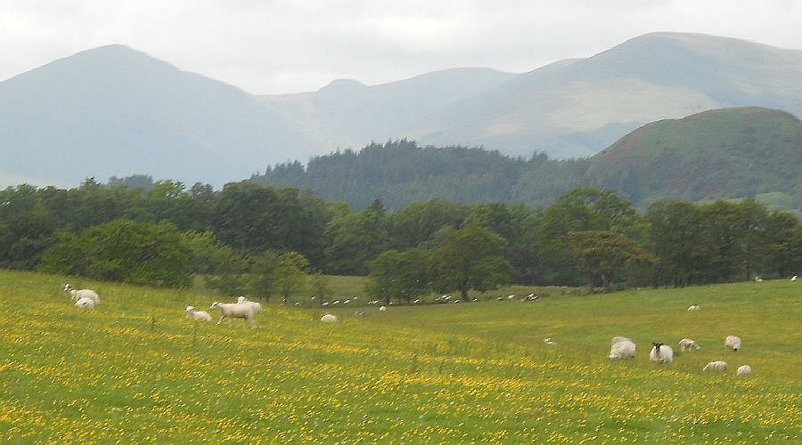 Luss Hills from the outskirts of Drymen