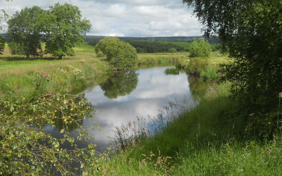 Allan Water near Ashfield village
