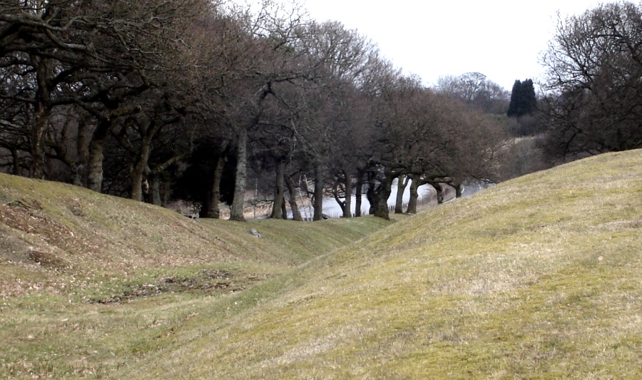 Forth and Clyde Canal from Antonine Wall in Seabegs Woods