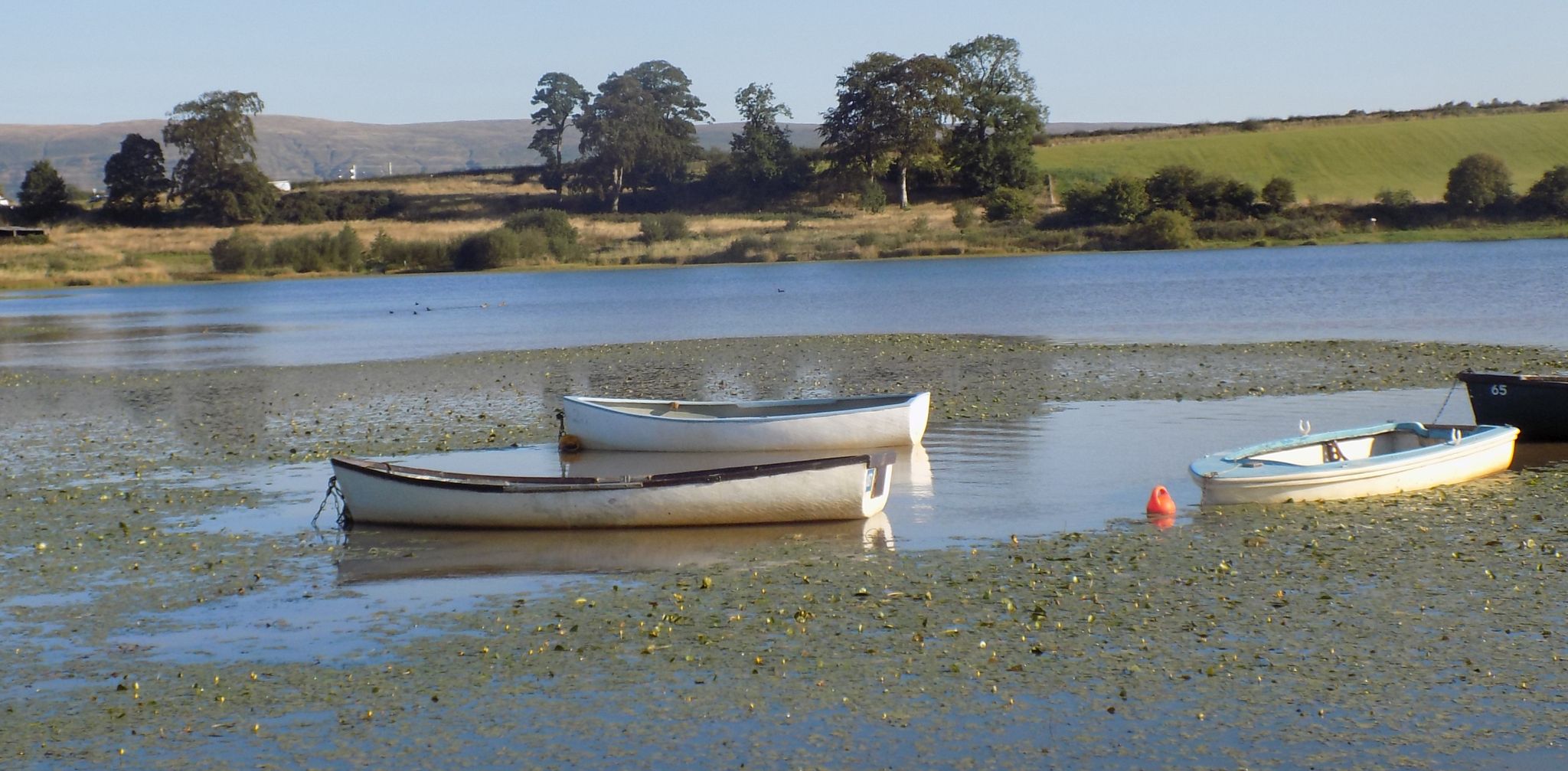 Boats of Angling Club at Gadloch