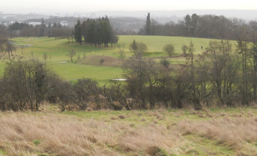 Bearsden Golf Course from Garscadden ( Bluebell ) Woods