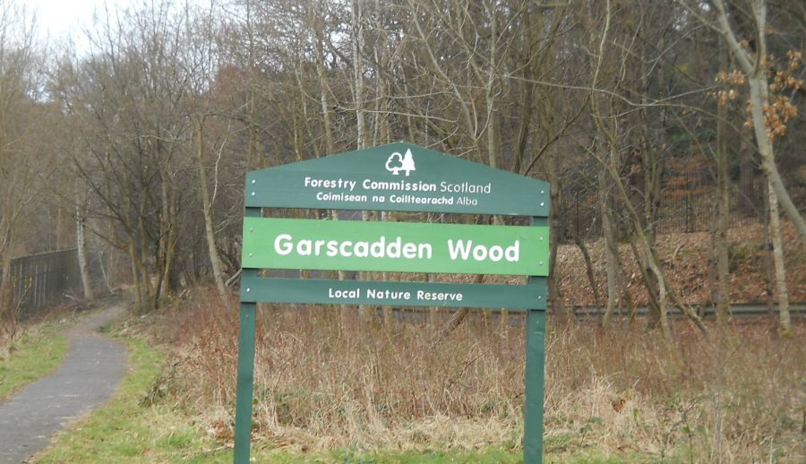 Garscadden ( Bluebell ) Woods local nature reserve