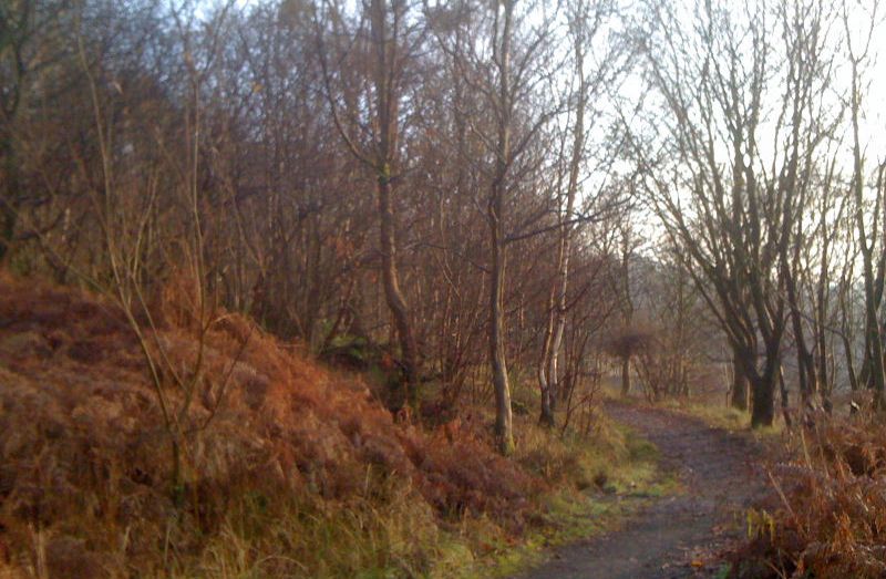 Path through Garscadden ( Bluebell ) Woods