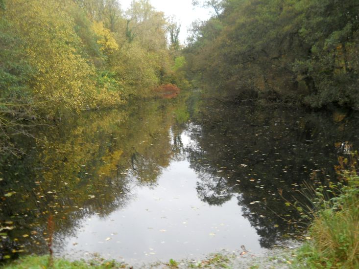 Pond in Dawsholm Park