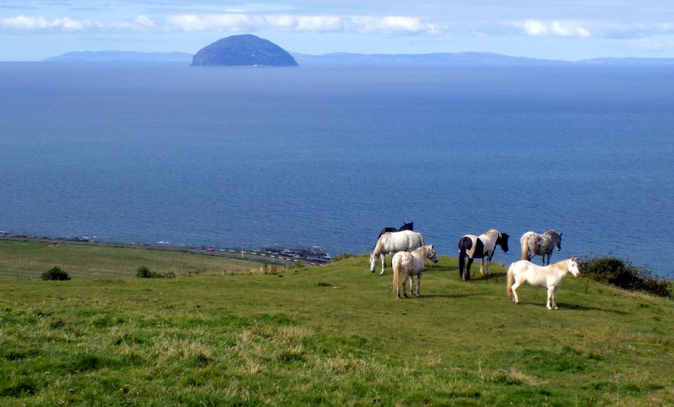 Ailsa Craig from Byne Hill