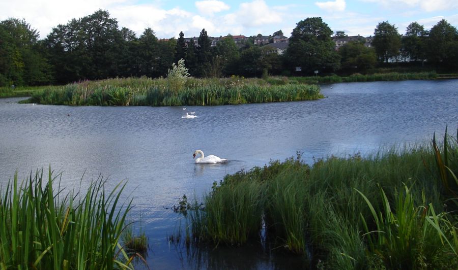 Bingham's Pond in Great Western Road in Glasgow