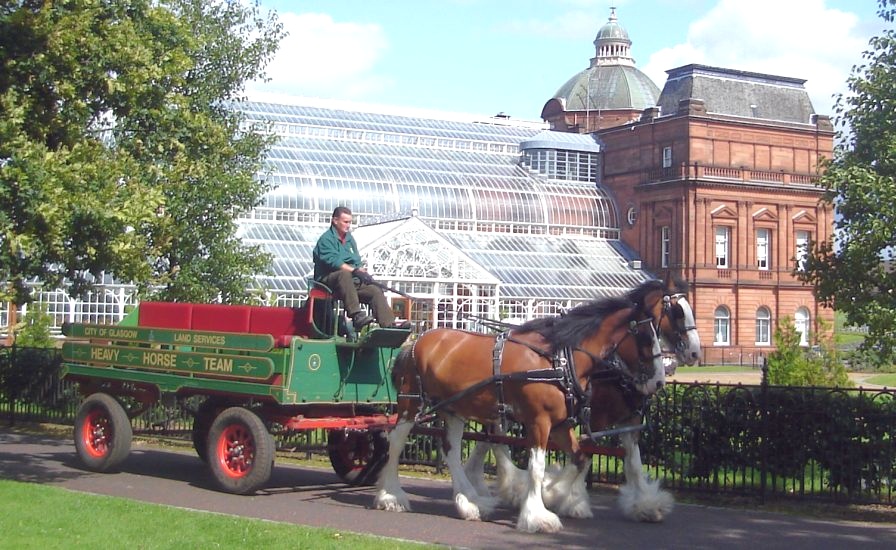 Clydesdale Horses and Cart and People's Palace in Glasgow Green