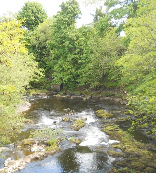 Falls on the River Gryffe