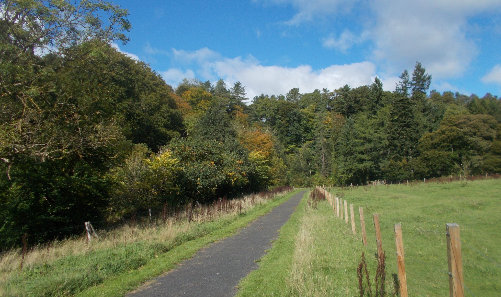 Countryside Trail in Dean Castle Country Park