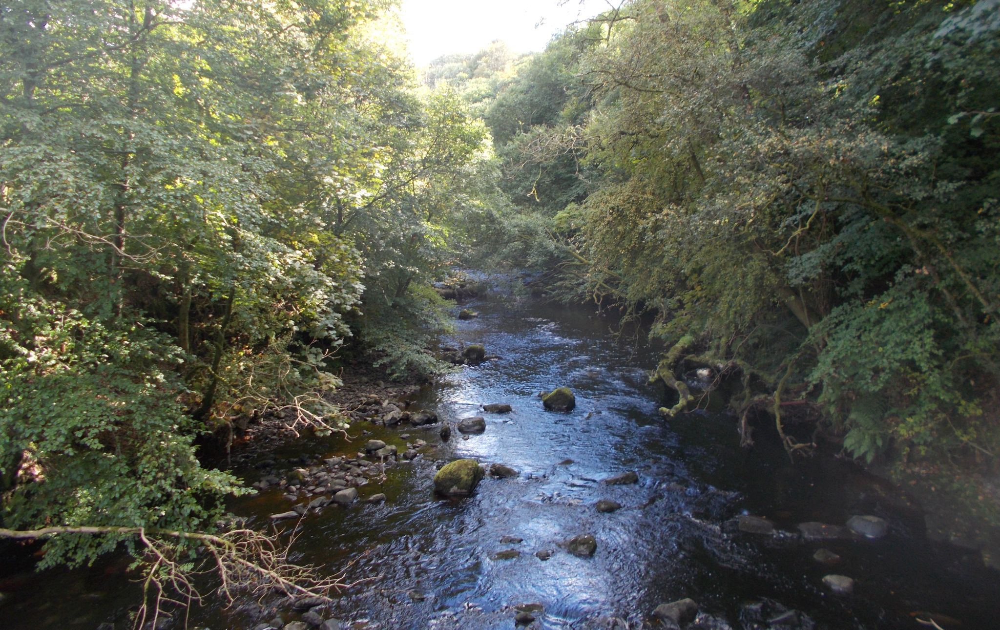 Craufurdland River  in Dean Castle Country Park