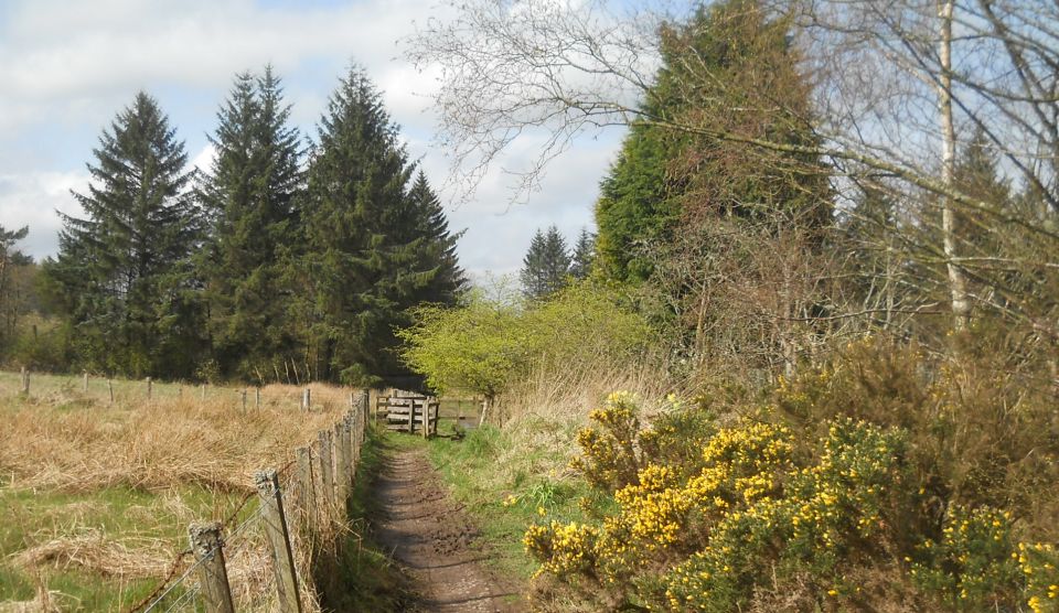 Public Footpath from Cauldhame to Burnside Woodland
