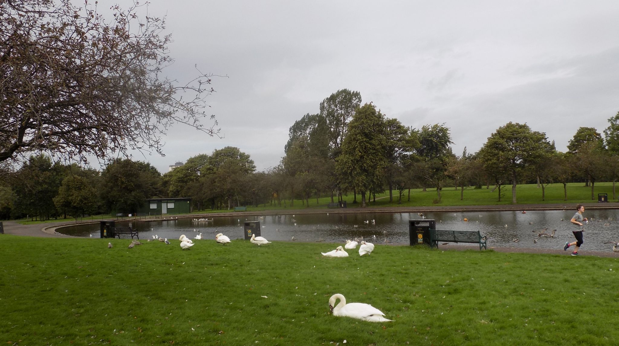 Boating Pond in Knightswood Park