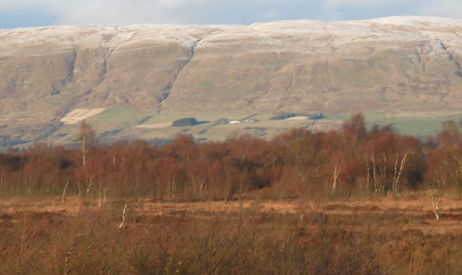 Campsie Fells from the Lenzie Moss