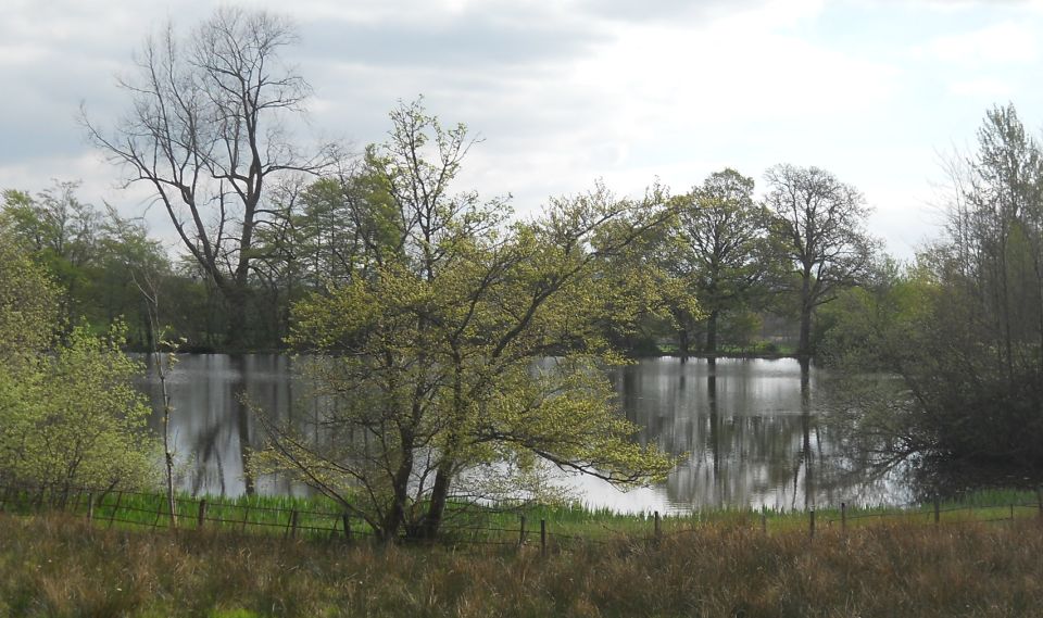 Loch in the estate of Gartmore House