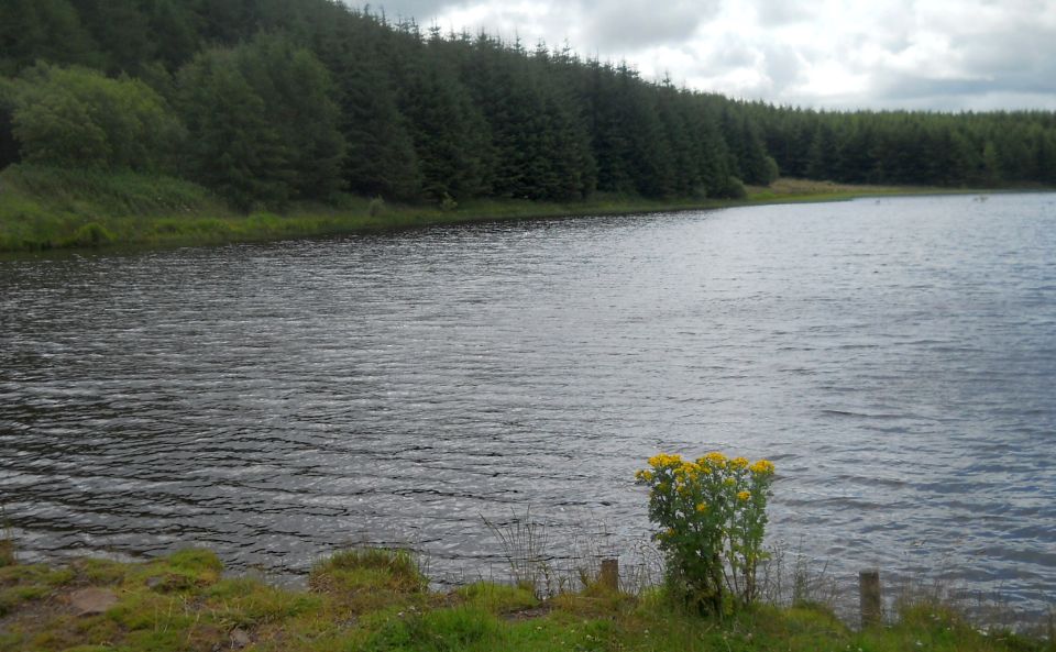 Craighall Reservoir