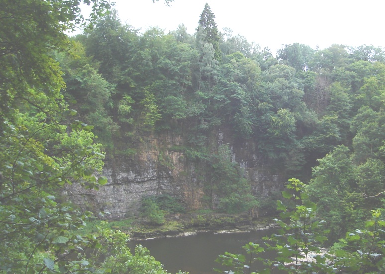 Cliffs above the River Clyde from path to the Falls