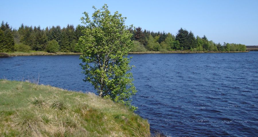 Fannyside Loch in Palacerigg Country Park