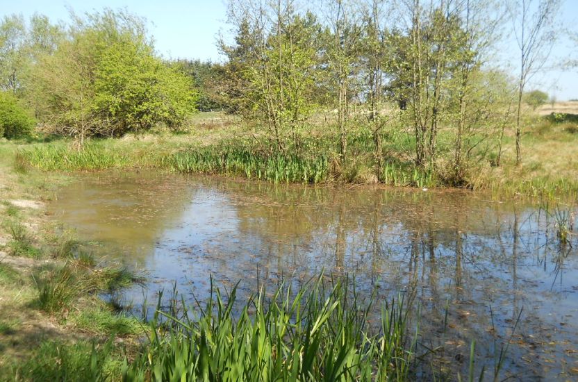 Limekiln Pond in Palacerigg Country Park