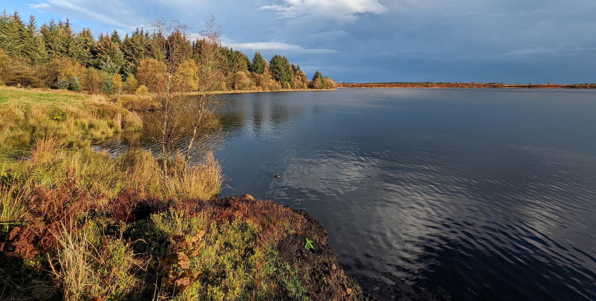 Fannyside Loch in Palacerigg Country Park