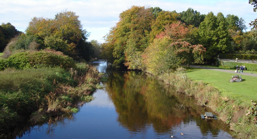 View from Bridge over the White Cart River in Pollok Country Park