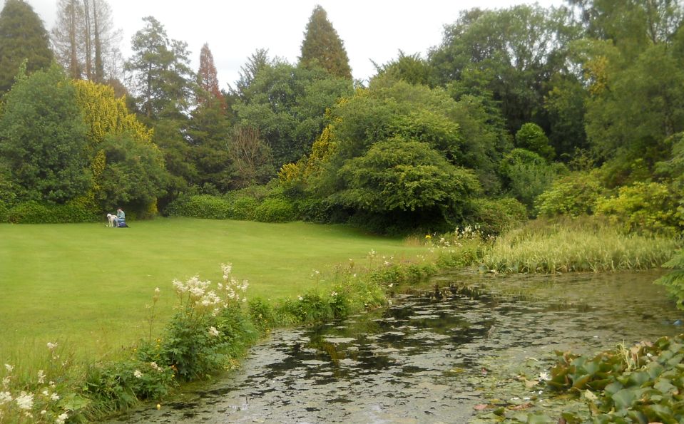 The Lily Pond in Rosshall Park