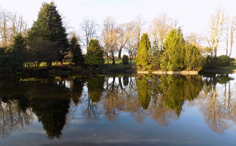 Duck pond in Strathaven Park