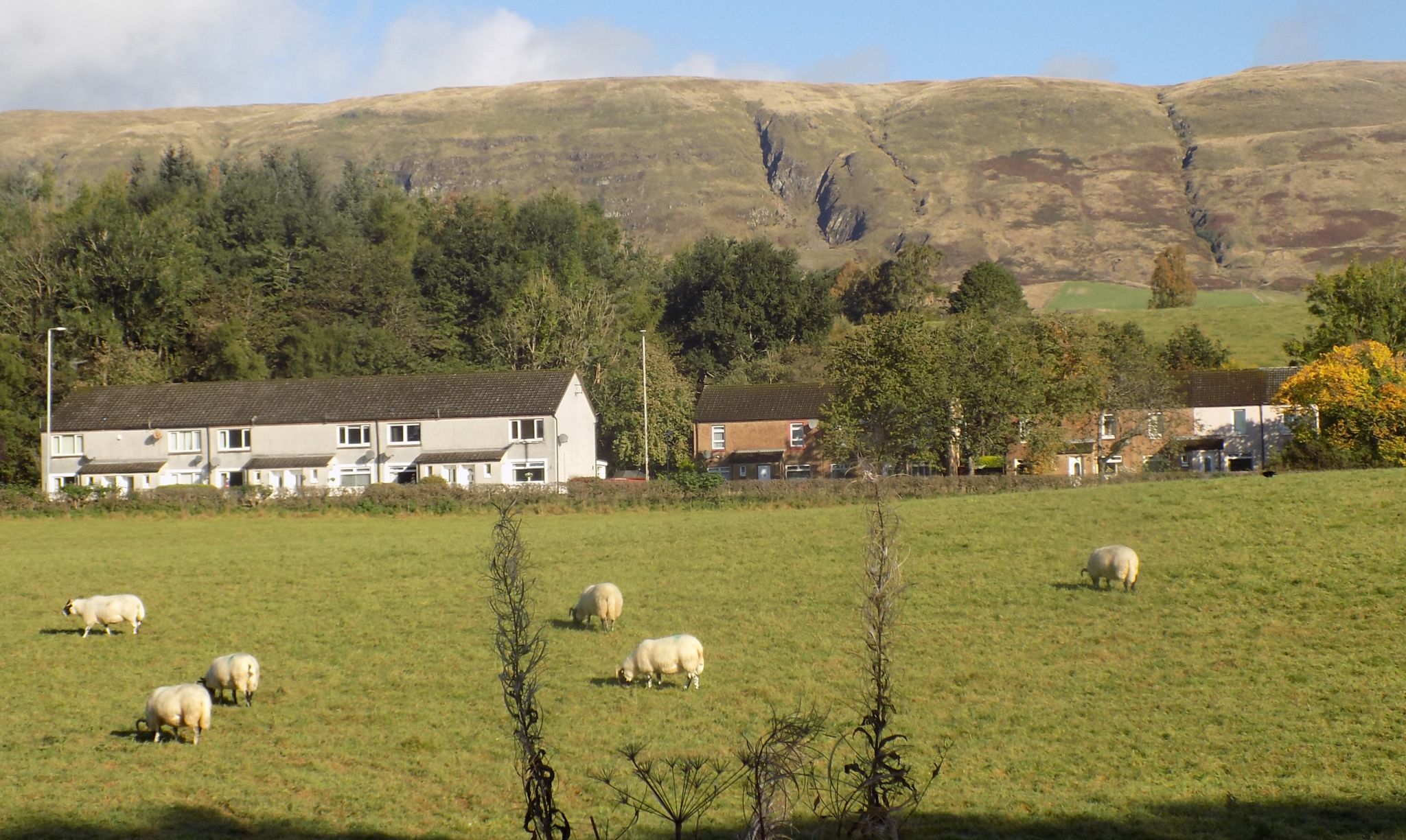 Campsie Fells from the Strathkelvin Railway Path between Lennoxtown and Milton of Campsie