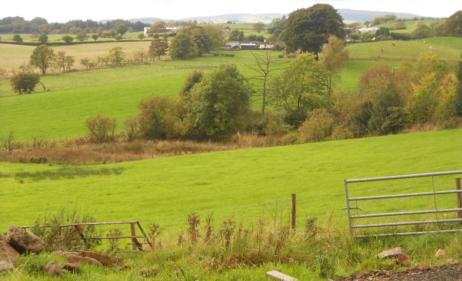 Countryside from West Balgrochan Road