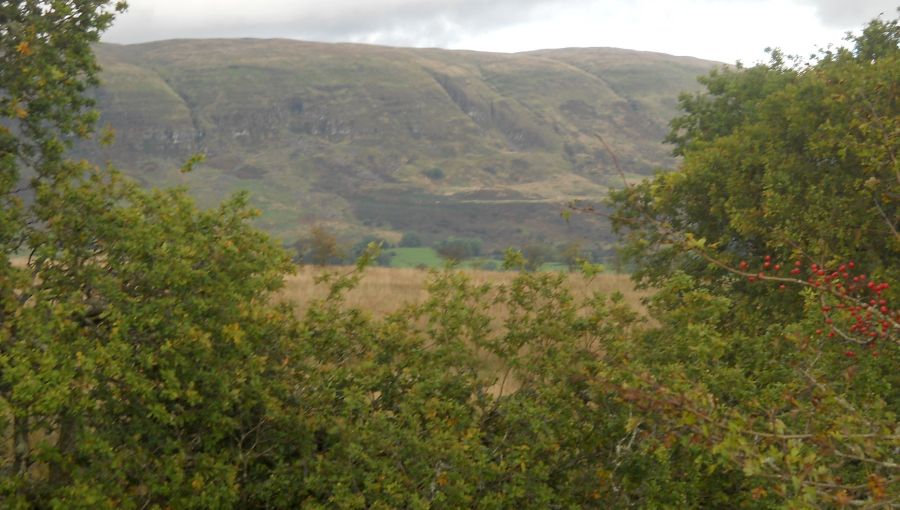 Campsie Fells from Lennox Forest