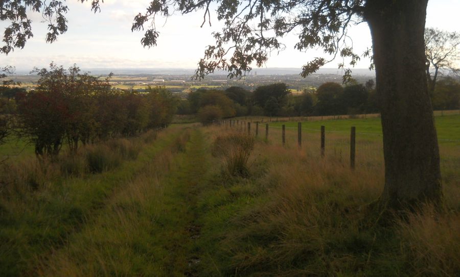 The Right of Way to Torrance from Lennox Forest at Muirhead Farm