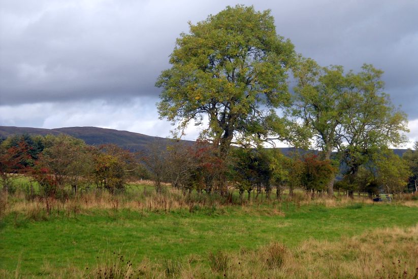 Campsie Fells from the Right of Way to Torrance from Lennox Forest