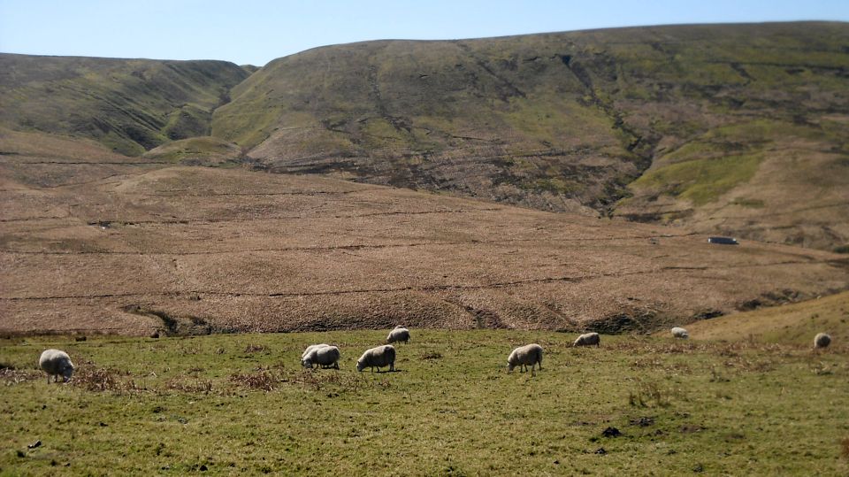 Willowgrain Hill in the Southern Uplands