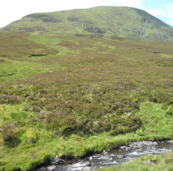 White Coomb ( 2694ft, 821m ) from Tail Burn on trail to Loch Skeen